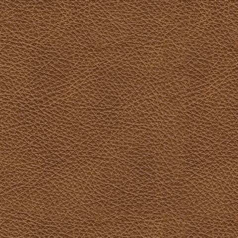 Carianna Loveseat